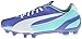 PUMA Women's Evo Speed 5.3 Firm Ground Soccer Shoe
