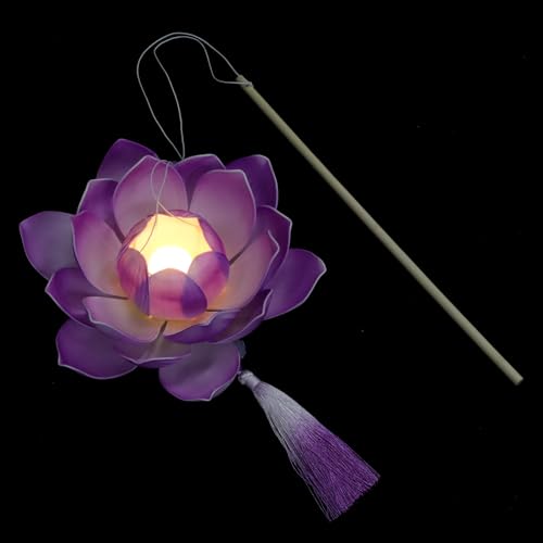 Zerodeko Lámpara De Luminosa De Chino Lámpara Led Decorativa para Exhibición Fotográfica para Eventos Festivos