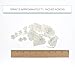 Sugar Blossom Cake Spray – Gumpaste Flowers for Cake Decorating – White Cherry Blossoms with Green Leaves – 1 Count by Chef Alan Tetreault