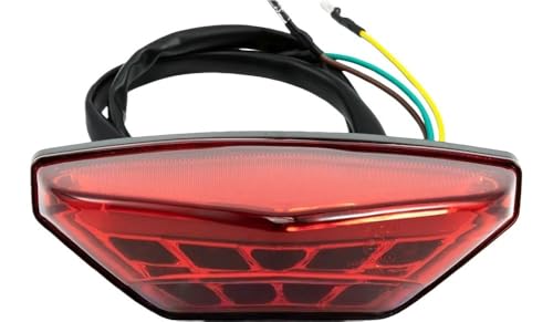Freno luces trasero y luz de freno trasera para matrícula de motocicleta