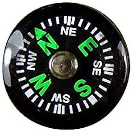 DIYASHI Magnetic Classroom Compass Set of 10 20mm