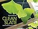 Clean Slate: Images from Dogens Garden