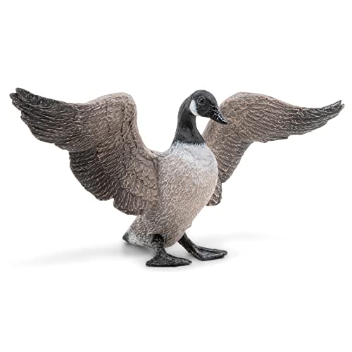 canada goose citadel women - Papo -Hand-Painted - Figurine -Wild Animal Kingdom -Canada Goose -50277 -Collectible - for Children - Suitable for Boys and Girls- from 3 Years Old