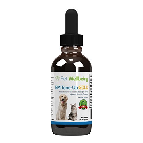 Pet Wellbeing - BM Tone-Up Gold for Cats - Natural Support for Feline Loose stools. - 2oz (59ml)