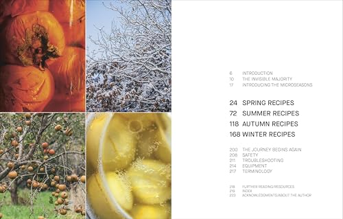 A Year of Fermentation: A Seasonal Guide to the Art & Science of Fermentation – vue 4