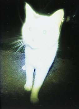 Paperback Cat, Neko [Japanese] Book