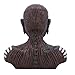 Nemesis Now Officially Licensed Iron Maiden The Book of Souls Bust Box (Small) Brown, 11.5cm
