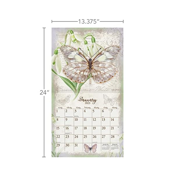 LANG Wandkalender 2023 Schmetterlinge – Bild 5