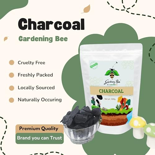 Image of Wood Based Activated Charcoal (2kg) for Orchid Potting, anthurium Plants, Horticultural Grade, Grilling, Barbecue (Charcoal, 2kg)