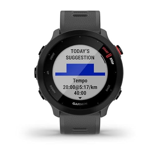 Garmin Forerunner 55 Gris