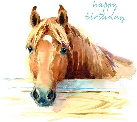 Greetings Cards set Watercolour animals | eco friendly | handpacked in the UK | Male Female | greeting card multipack | Mixed Pack of 8 Designs Birthday and Blank Cards and Envelopes