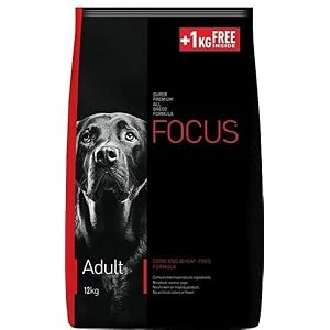 Focus Adult Super Premium Dry Dog Food, Chicken Floor, 13kg