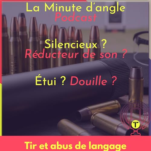 Tir et abus de langage