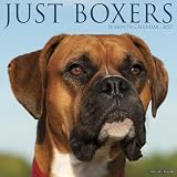 Willow Creek Press, Kalendarz ścienny Just Boxers 2027