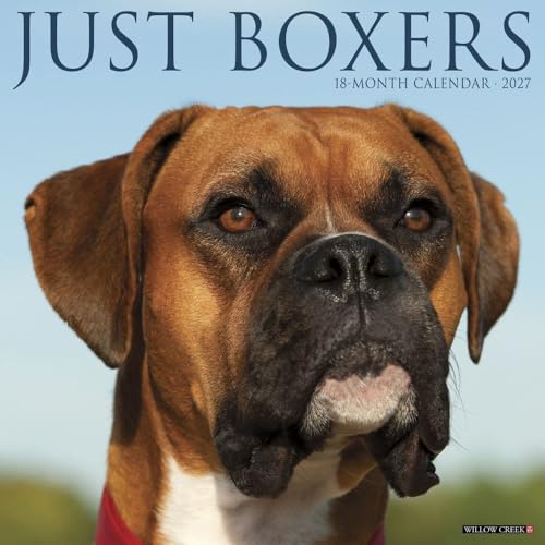 Willow Creek Press, Kalendarz ścienny Just Boxers 2027