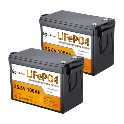 Image of 2 Pack 24V 100Ah LiFePO4 Battery, Built-in 100A BMS,2560Wh Lithium Battery,4000-15000 Deep Cycles & 10-Year Lifetime, Perfect for Marine, RV, Marine, Trolling Motor, Solar Off-Grid System