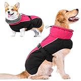 MORVIGIVE Windproof Turtleneck Winter Dog Coat, Thickened Fleece Lining Dog Jacket with Buckle Closu