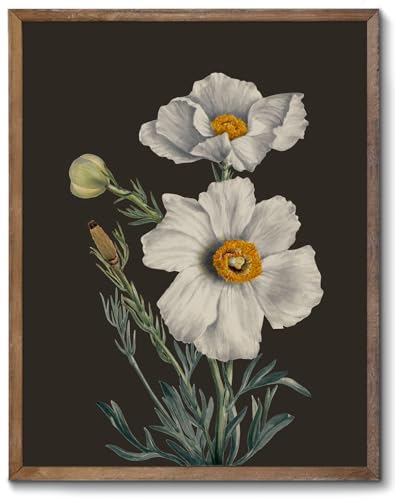 Gardenia Botanical Prints on Black