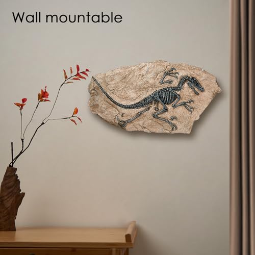Image of 1st Heaven Resin Dinosaur Fossil Sculpture - Realistic Dinosaur Skeleton for Desk & Wall Display, Prehistoric Jurassic-Era Dino Decor, Unique Gift for Dino Lovers & Home Decor (Pterosaur)