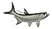 Charlotte International Replica Tarpon Saltwater Game Ocean Fish Wall Decor 28 inch