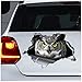 WYZDGTD Autocollant de Voiture de Hibou à Cornes Aimant de Hibou à Cornes Autocollant de Hibou à Cornes Autocollant de Hibou 2 pièces côté Le Plus Long 21 cm