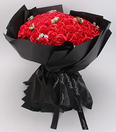 SCAMPER \[vt[ ԑ o u[P a v[g  lC ԑ  Mtg hCt[ CeA LO \ hV̓ ̓ ސE c ޏ ʉ (bhi100{j)