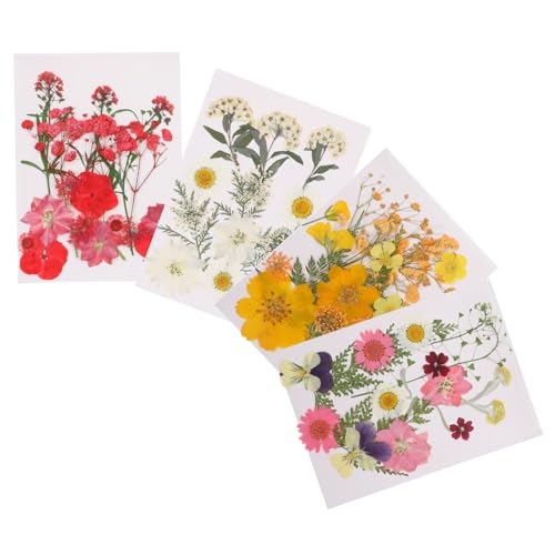 HEALEEP 4 flor seca faça você mesmo flores secas a granel artesanato em resina