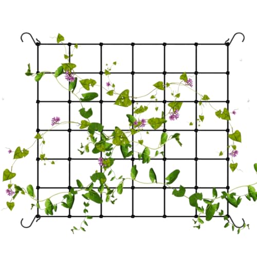 Malla Antipajaros, 60 * 60CM Red Plantas Trepadoras, Red de Tienda de Campaña con 4 Ganchos, Malla Entutorar, Malla para Plantas Trepadoras,para Plantas trepadoras, Verduras, Frijoles, Frutas, Flores