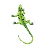 Kann als Anschauungsmodell verwendet werden, sich auch für den Zoo Sammlung oder Ihres Kindes Geist und Phantasie inspirieren