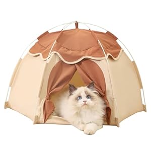 Gigreinc Cat Tent for Indoor, Indoor Dog House,Kitten Tent Suitable for Samll Dogs,Pet Cute Cave Nest Dog Houses(Beige, Large)