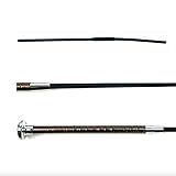 Quatre couleurs élégantes : des tons vifs qui capturent la beauté du ciel.