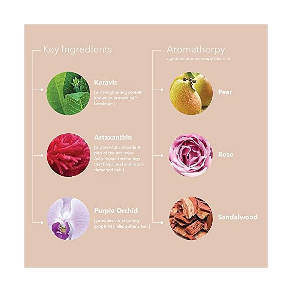 Pureology Strength Cure Blonde Purple Shampoo for Blonde & Lightened Color-Treated Hair, 9 Fl Oz