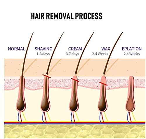 Image of Hair Removal Wax Kit Brazilian Beans Wax, Face Wax /Katori Wax for Women (100g) | India's Liposoluble Stripless Wax | Pan with Handle & Spatula | Natural Ingredients | For Upper Lips, Chin, Cheeks & Hairline WaxKit COmbo