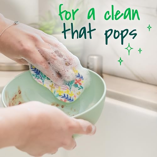 Image of Scotch-Brite Pop Up Kitchen Sponges, Unique Compressed Kitchen Sponge for Cleaning Gently, Floral Pattern Dish Scrubber that Expands with Water, 3 Scrubbing Sponges