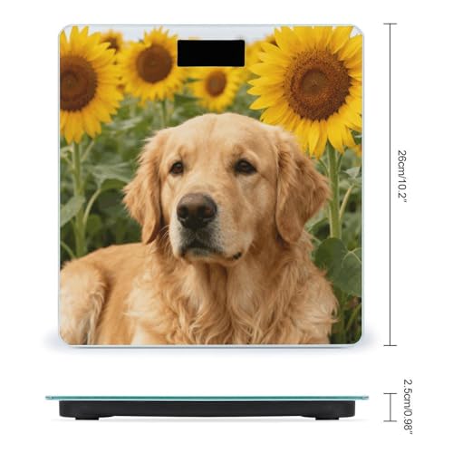 Báscula Digital Golden Retriever Sunflower 400 Lb miniatura 2