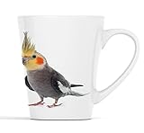 Merchandise for Fans