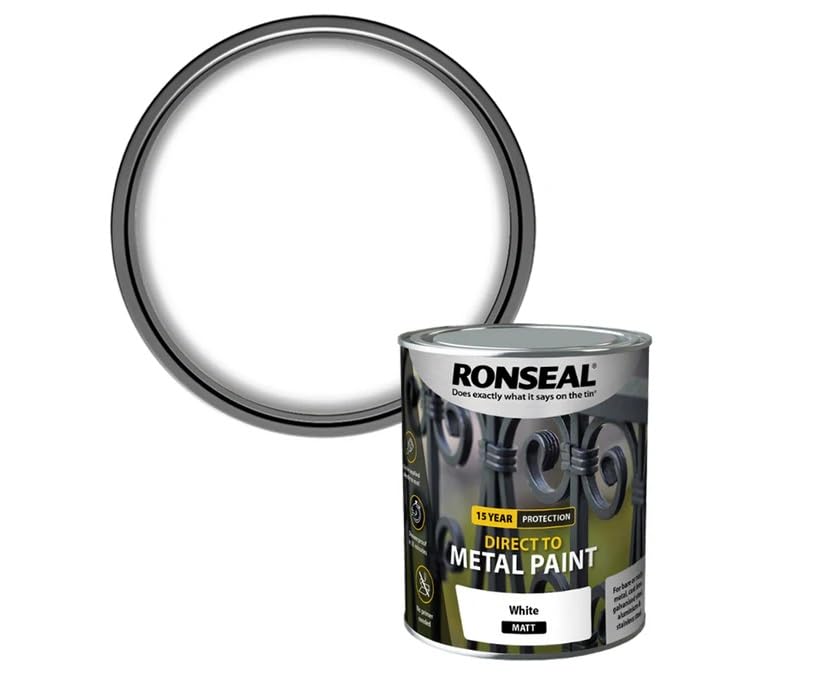 DUAYRA Metal Paint | Anti Rust Water Based | Quick Drying Formula | Long Lasting Finish | Metal Surface Paints | No Primer Needed | Tough, Durable & Weather Resistant | (White Satin, 250ml)