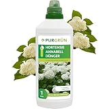 Purgrün