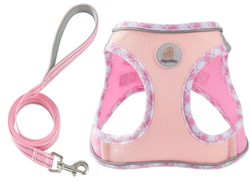 Hipubby Dog Harness and Leash Set Soft Mesh