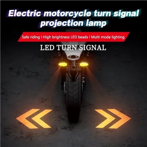 Luces intermitentes para motocicleta con lámpara de proyección color 5