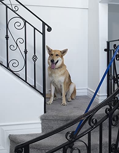 FURemover Broom 2.0, Improved Design, Natural Rubber, Innovative Cleaning Tool for Pet Fur, Squeegee Edge for Glass or Hardwood
