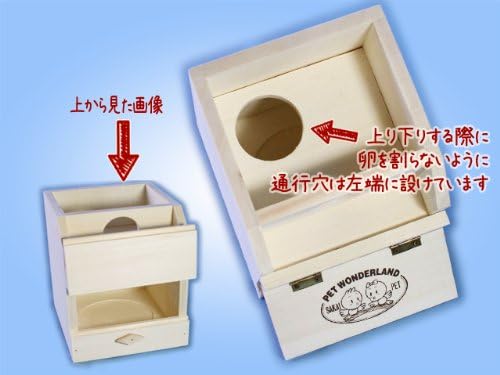 Amazon Bh 鳥巣箱m ボタンインコ コザクラインコ 中型インコの巣箱 Pet Wonderland 巣 巣箱 通販