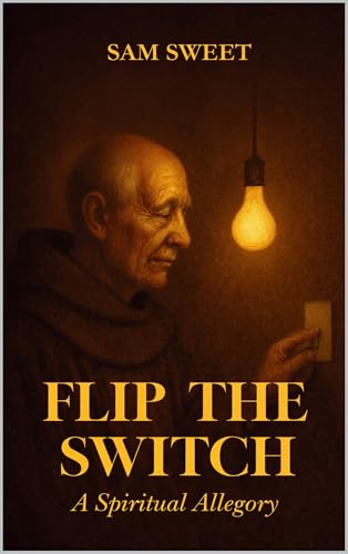 FLIP THE SWITCH (English Edition)