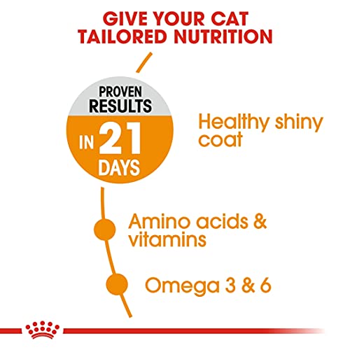 Royal Canin Hair and Skin 33 Katzenfutter, 10 kg- Katzenfutter