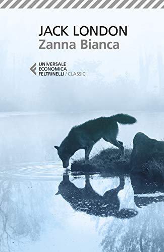 Zanna Bianca