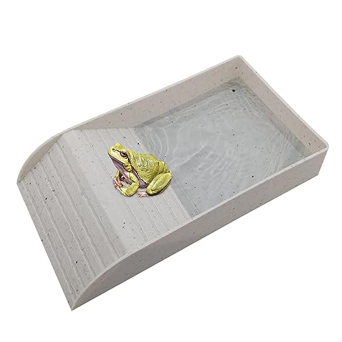 T̐,T̐HוX[vƃoXLOvbgtH[taM | ybg̃J̐n  J̐n gJQ