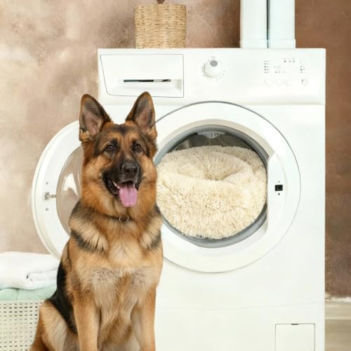 BENNO® Hundebett BALU Donutform, 50x50x16 cm, weiches Kuschelbett mit Polypropylen-Füllung, beige, waschbar, Rutschfester Boden, inkl. Kauknochen, Schlafplatz für Hunde
