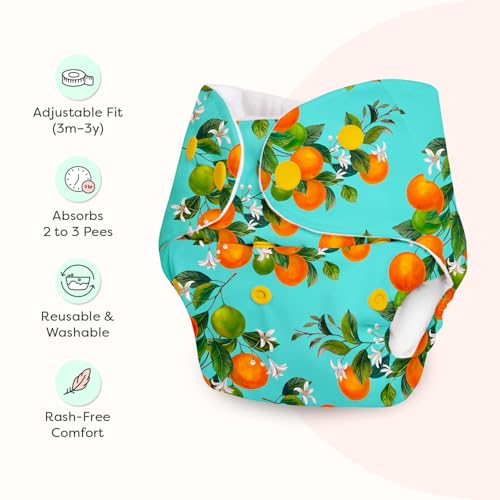 Image of Superbottoms Basic Leakage-proof advanced cloth diapers for babies, High Absorbent 100% cotton 2 reusable diaper and 2 insert pad Combo Pack washable cloth diaper 3M -3Years Adjustable, Reduces Rash