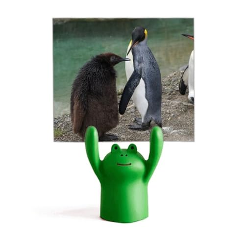 Mémo animal pingouin et grenouille support photo de bureau déco science et nature