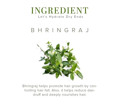 Image of Khadi Natural Bhringraj Herbal Hair Oil For Controlling Hair Fall, Nourishing Oil For Healthy Hair Growth, Paraben & Silicone-Free Suitable For All Hair Types, (Pack Of 1-210 ml., Maha Bhringraj Oil)